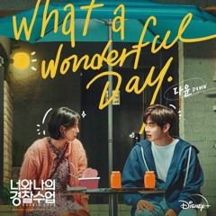 Dvwn (다운) - What A Wonderful Day (Rookie Cops 너와 나의 경찰수업 OST Part 5)