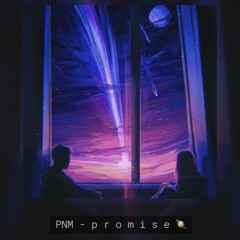 PNM - p r o m i s e