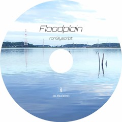 Floodplain