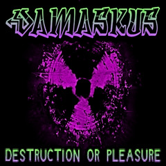 Destruction Or Pleasure
