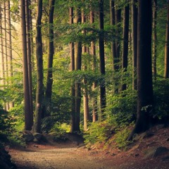 Insane 138bpm [Instrumental] (prod. Kam Bennett)