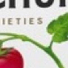 ketchup