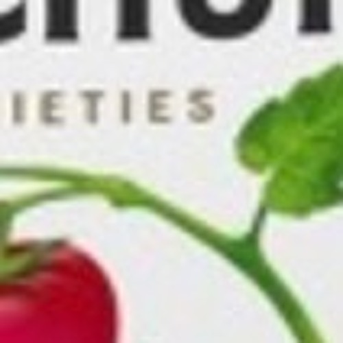 ketchup