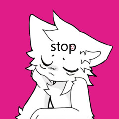 i love my stupid cat