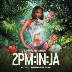 2PM IN JA (Dancehall Mixtape)