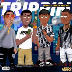 SPIDERs - Trippin (ft. TREEZY FLACKO x NIBRS)