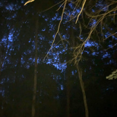 Bear Creek (prod. dead spyro)