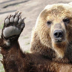 HUU== VEM COM A TROPA DO URSO ((DJ FP DE BEL))