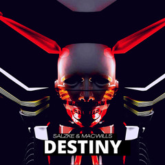 SALZKE X MacWills- Destiny( Original Mix ) FREE DOWNLOAD