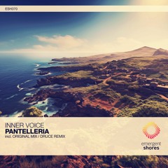 Inner Voice - Pantelleria (Druce Remix) [ESH370]