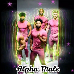 Alpha Male