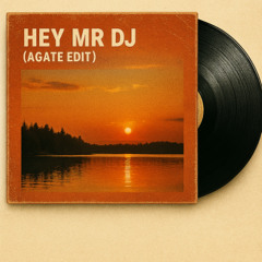 Hey Mr DJ Agate Edit (FREE DOWNLOAD)