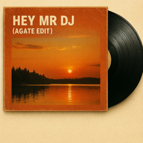 Hey Mr DJ Agate Edit (FREE DOWNLOAD)
