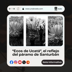 “Ecos de Ucatá”, el reflejo del páramo de Santurbán