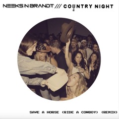 Big & Rich - Save A Horse (Ride A Cowboy) [NEEKS N BRANDT & Country Night Remix]