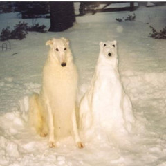 이누야샤 prod 릴명박