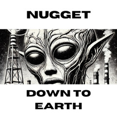 Nugget - Down To Earth