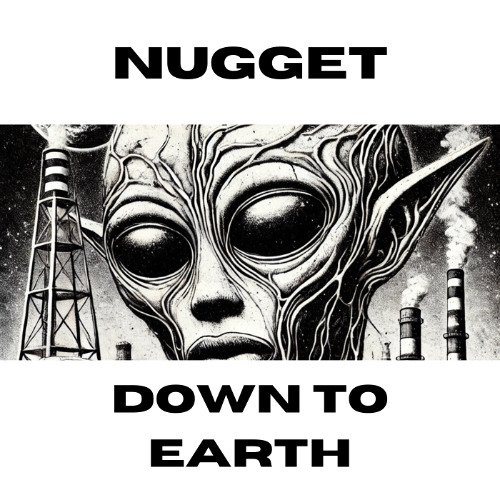 Nugget - Down To Earth