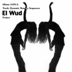 Dynamic Memory Sequences