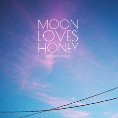 Moon Loves Honey - Tell Me More Of Your Lies (In Disguise Mix)