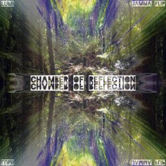 Chamber of Reflection - Lumi (Jamma Flip)