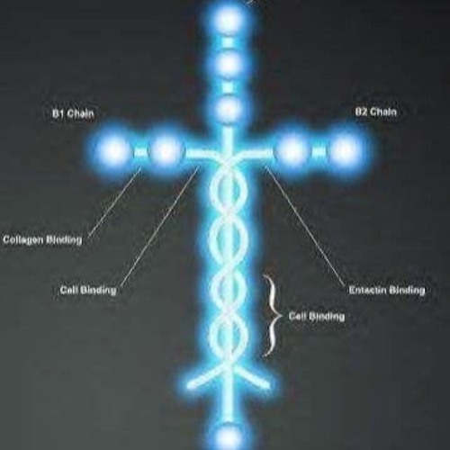 The Buck Stops Here  (better mix)