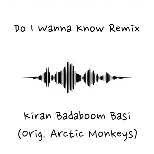 Do I Wanna Know Remix