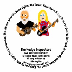 Angry Bees  - The Hedge Inspectors - Live at The Bracklesham Bay Ukulele Weekender