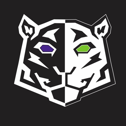 ZebraCat LIVE for A Summer Evening Journey 2020