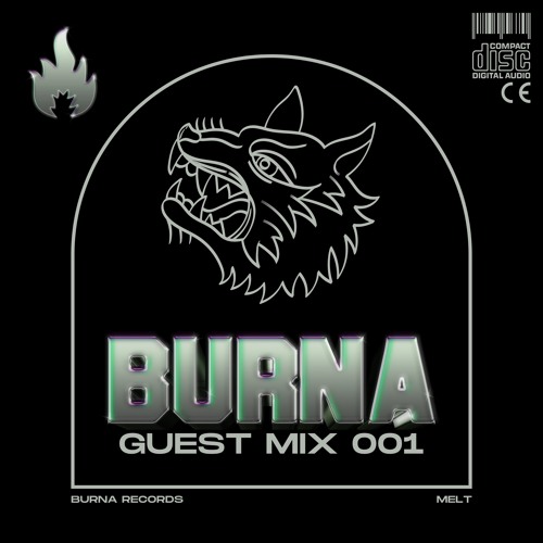 Burna Records Guest Mix Series