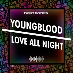 5 Seconds Of Summer - Youngblood - X Marten Horger - Love All Night - MSHPMusic Mashup