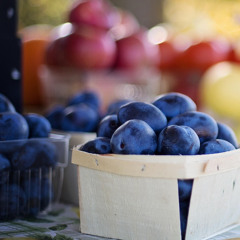 Blue Plum
