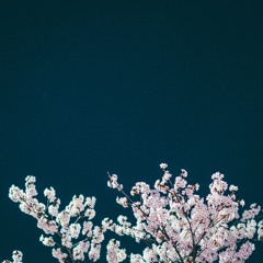 Field Journal Companion - Spring 2025