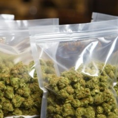 CB9 – das neue legale Cannabinoid