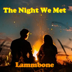 The Night We Met