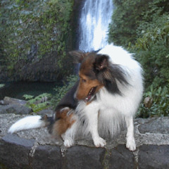 he said he never met a girl like me <3