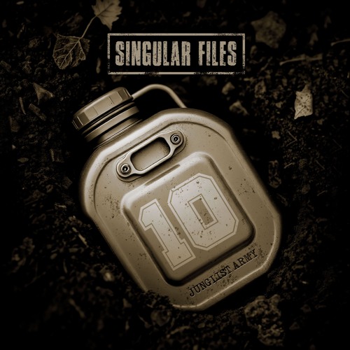 SINGULAR FILES 010 - V.A