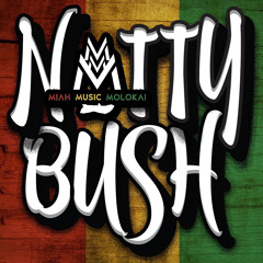 Natty Bush
