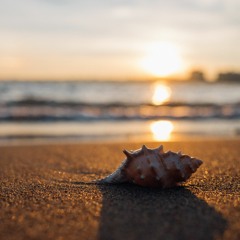 End And Beginning (Short)