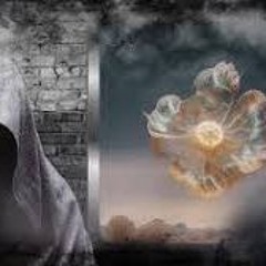 Tonino - Danny Phantom