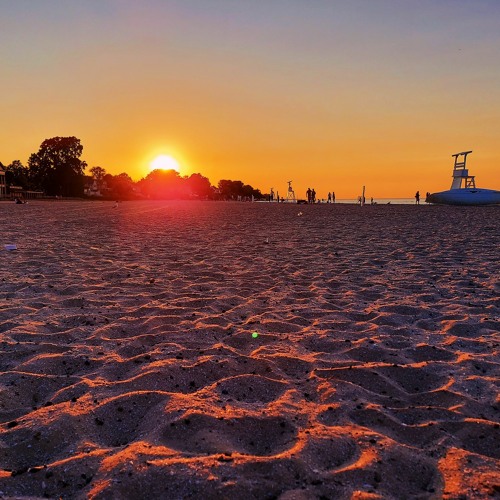 Мои записи Shazam - 4