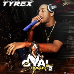 Gyal Segment 2 Mixtape DjTyrex