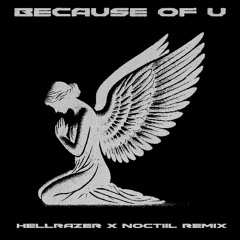 RL GRIME - BECAUSE OF U (HELLRAZER X NOCTIIL REMIX)