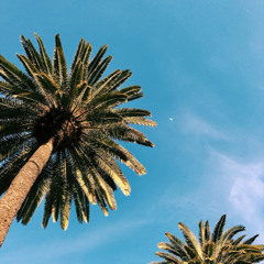Late Night in Ibiza (Summer House Flip) 🌴✨ [FREE DL]