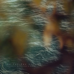 Northern Skies
