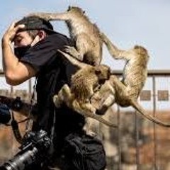 141... And Theres No Monkey On My Back V4