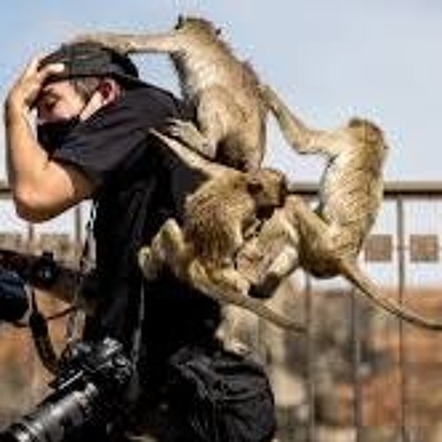 141... And Theres No Monkey On My Back V4