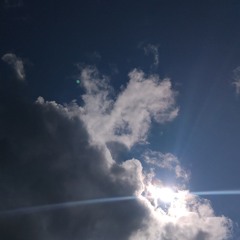 shauna Mc Ardle Music - Skylights