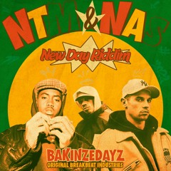 NTM & NAS - Affirmative Action (BAKINZEDAYZ Remix - New Day Riddim Version)