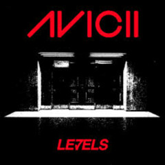 AVICCI LEVELS - Davijay Remix